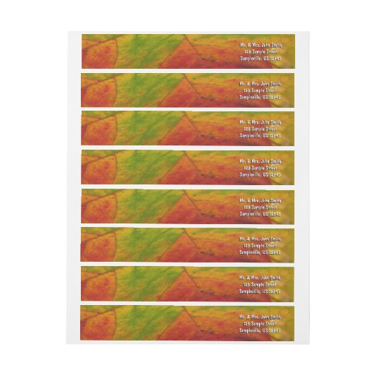 Kleuren van de Natuur "Maple Leaf Autumn" Fotograf (Vel)