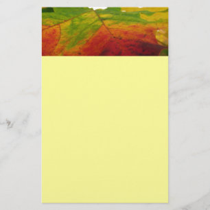 Kleuren van de Natuur "Maple Leaf Autumn" Fotograf Briefpapier