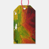 Kleuren van de Natuur "Maple Leaf Autumn" Fotograf Cadeaulabel (Voorkant)