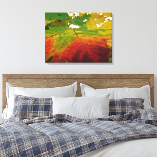 Kleuren van de Natuur "Maple Leaf Autumn" Fotograf Canvas Afdruk (Insitu (Slaapkamer))