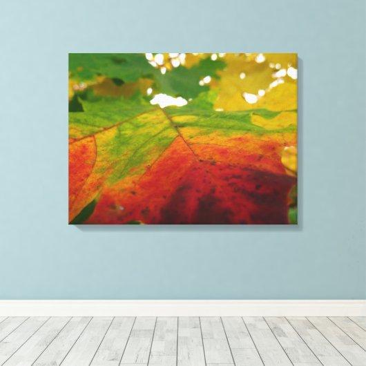Kleuren van de Natuur "Maple Leaf Autumn" Fotograf Canvas Afdruk (Insitu (Houten vloer))