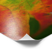 Kleuren van de Natuur "Maple Leaf Autumn" Fotograf Foto Afdruk (Hoek)