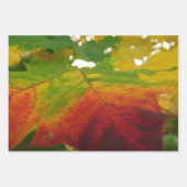 Kleuren van de Natuur "Maple Leaf Autumn" Fotograf Inpakpapier Vel (Voorkant 3)