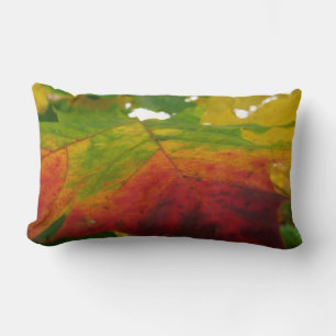 Kleuren van de Natuur "Maple Leaf Autumn" Fotograf Kussen