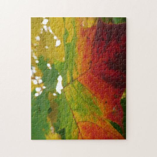Kleuren van de Natuur "Maple Leaf Autumn" Fotograf Legpuzzel (Verticaal)