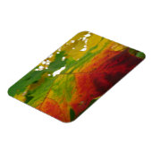 Kleuren van de Natuur "Maple Leaf Autumn" Fotograf Magneet (Linkerzijde)