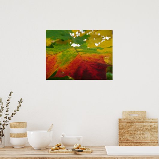Kleuren van de Natuur "Maple Leaf Autumn" Fotograf Poster (Keuken)