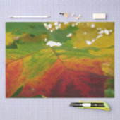 Kleuren van de Natuur "Maple Leaf Autumn" Fotograf Tissuepapier (Craft)