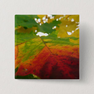 Kleuren van de Natuur "Maple Leaf Autumn" Fotograf Vierkante Button 5,1 Cm