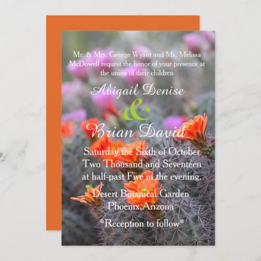 Kleuren van de oranje achtergrond van de woestijn kaart (Voorkant / Achterkant)