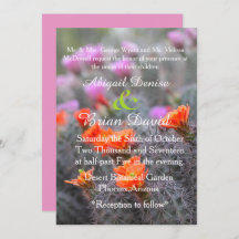 Kleuren van de roze achtergrond van de woestijn