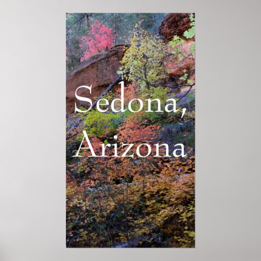 Kleuren van de vallei in Sedona Poster (Voorkant)
