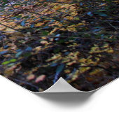 Kleuren van de vallei in Sedona Poster (Hoek)