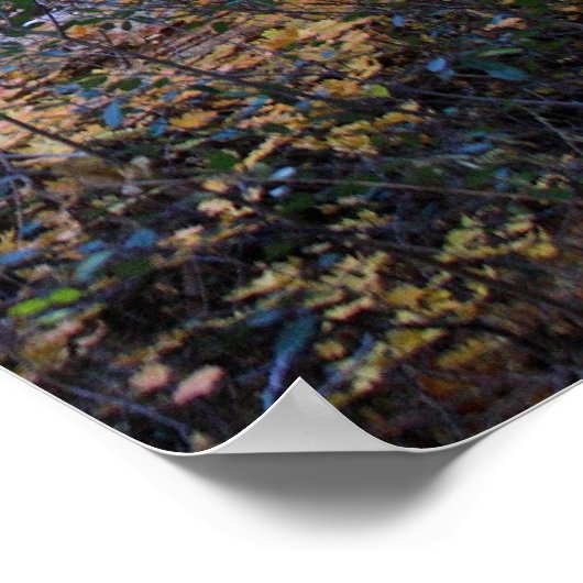 Kleuren van de vallei in Sedona Poster (Hoek)