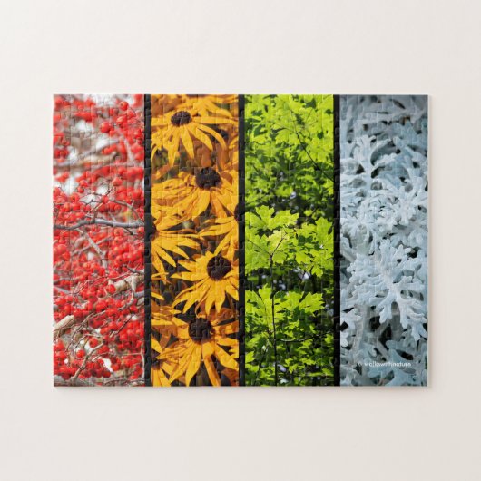 Kleuren van de veranderende seizoenen Quadriptych Legpuzzel (Horizontaal)