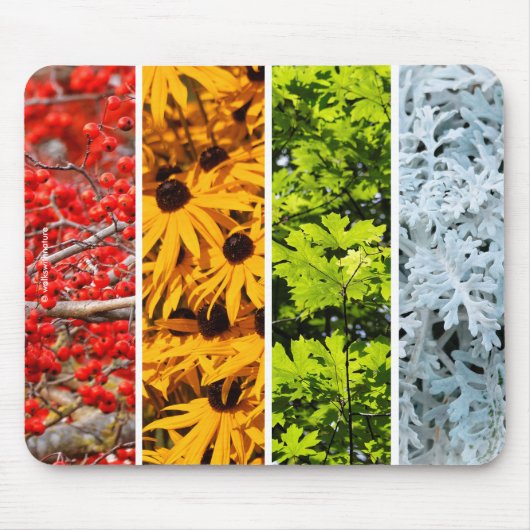 Kleuren van de veranderende seizoenen Quadriptych Muismat (Voorkant)