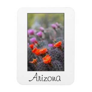 Kleuren van de woestijn Arizona Magneet