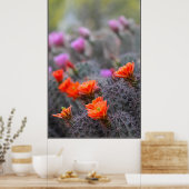 Kleuren van de woestijn poster (Keuken)