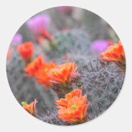 Kleuren van de woestijn ronde sticker