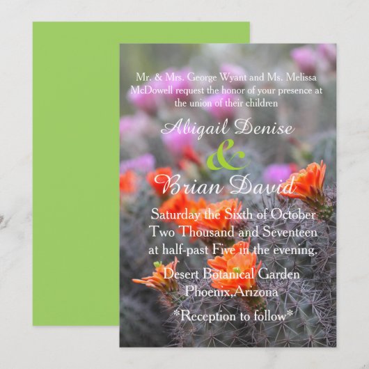 Kleuren van de woestijngroene achtergrond kaart (Voorkant / Achterkant)