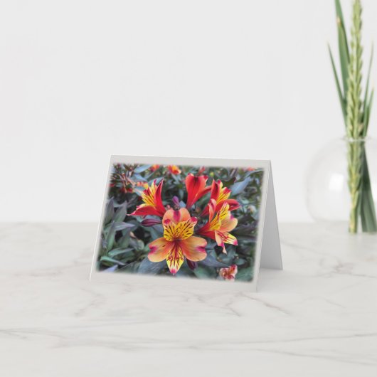 Kleuren van de zomer kaart (Voorkant)