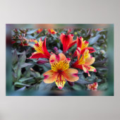 Kleuren van de zomer poster (Voorkant)