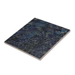 Kleuren van een Abalone-Tegel Tegeltje