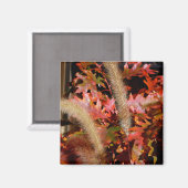 Kleuren van Herfst Magneet (Voorkant / Achterkant)