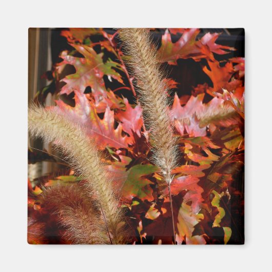 Kleuren van Herfst Magneet (Voorkant)