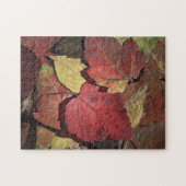 Kleuren van Herfst Puzzel (Horizontaal)