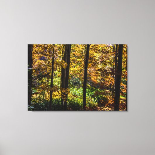 Kleuren van het Autumn-landschap Canvas Afdruk (Voorkant)