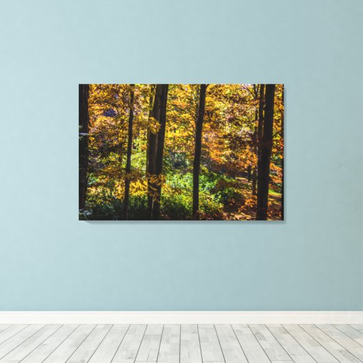 Kleuren van het Autumn-landschap Canvas Afdruk (Insitu (Houten vloer))