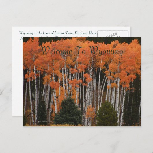 Kleuren van het Briefkaart Tetons (Voorkant / Achterkant)