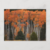 Kleuren van het Briefkaart Tetons (Voorkant)