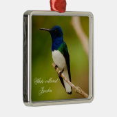 Kleuren van het Ornament van het Vlek van de Overz (Rechts)