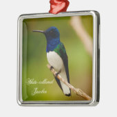 Kleuren van het Ornament van het Vlek van de Overz (Links)