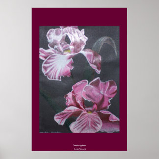 kleuren van Iris Poster