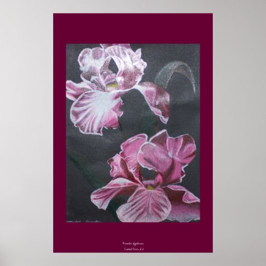 kleuren van Iris Poster (Voorkant)