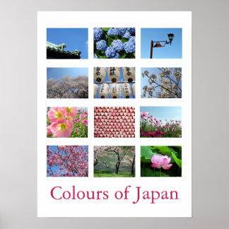 Kleuren van Japan (blauw/wit/roze) Poster