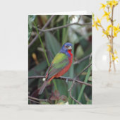 Kleuren van Kaart (Gele Bloem)