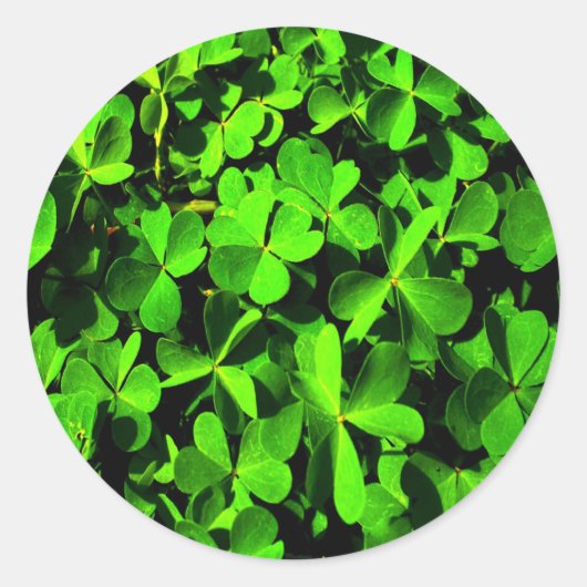 Kleuren van Luck op St. Patrick's Day Ronde Sticker (Voorkant)