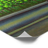 Kleuren van Montreal Poster (Hoek)