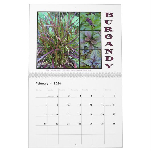 Kleuren van Natuur Bloemen Collage Muur Kalender (Feb 2026)