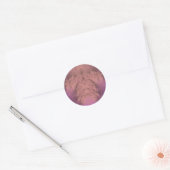 Kleuren van roze en Paarse ~ Classic Round Sticker (Envelop)