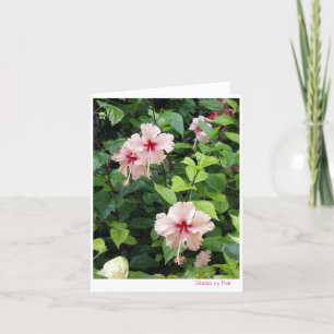 Kleuren van roze kaart