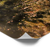 Kleuren van San Diego Poster (Hoek)