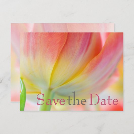 Kleuren van Spring Tulip Save the Date Briefkaart (Voorkant / Achterkant)