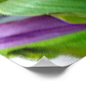 kleuren van tulpen poster (Hoek)