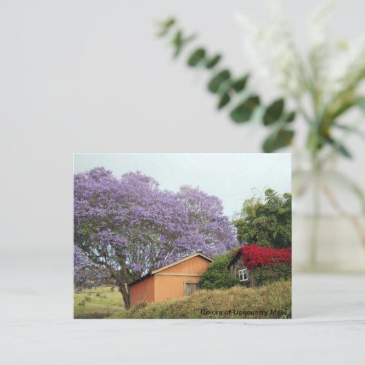 Kleuren van Up Country Maui Briefkaart (Staand voorkant)