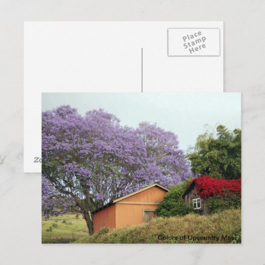 Kleuren van Up Country Maui Briefkaart (Voorkant / Achterkant)